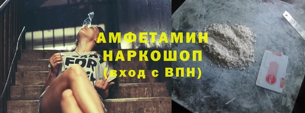ГАЛЛЮЦИНОГЕННЫЕ ГРИБЫ Богданович
