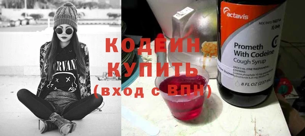 ГАЛЛЮЦИНОГЕННЫЕ ГРИБЫ Богданович