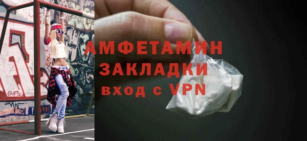 ГАЛЛЮЦИНОГЕННЫЕ ГРИБЫ Богданович