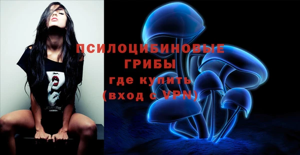 ПСИЛОЦИБИНОВЫЕ ГРИБЫ Богородицк