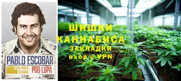 ПСИЛОЦИБИНОВЫЕ ГРИБЫ Богородицк