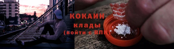 ГАЛЛЮЦИНОГЕННЫЕ ГРИБЫ Богданович