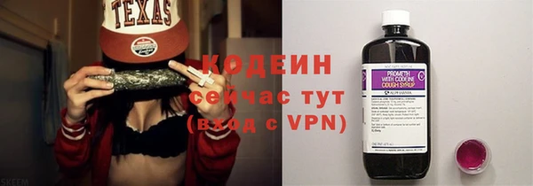 ГАЛЛЮЦИНОГЕННЫЕ ГРИБЫ Богданович