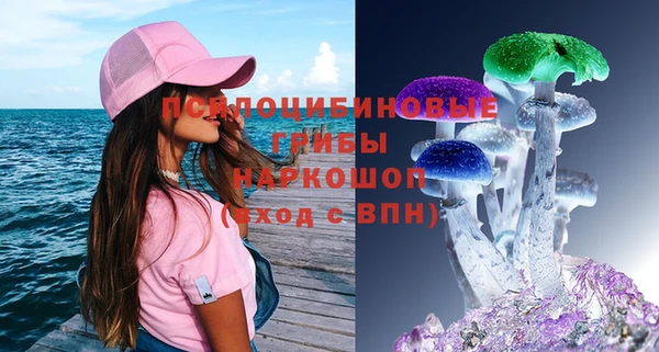 ПСИЛОЦИБИНОВЫЕ ГРИБЫ Богородицк