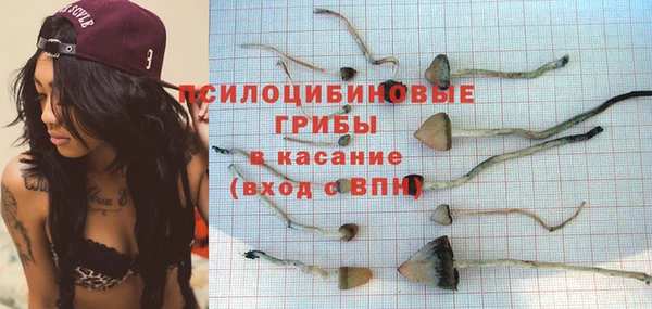 ПСИЛОЦИБИНОВЫЕ ГРИБЫ Богородицк