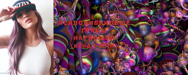 ГАЛЛЮЦИНОГЕННЫЕ ГРИБЫ Богданович