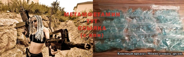 ГАЛЛЮЦИНОГЕННЫЕ ГРИБЫ Богданович
