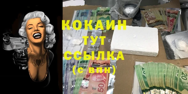 ПСИЛОЦИБИНОВЫЕ ГРИБЫ Богородицк