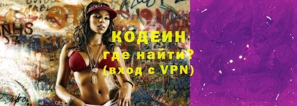 ГАЛЛЮЦИНОГЕННЫЕ ГРИБЫ Богданович