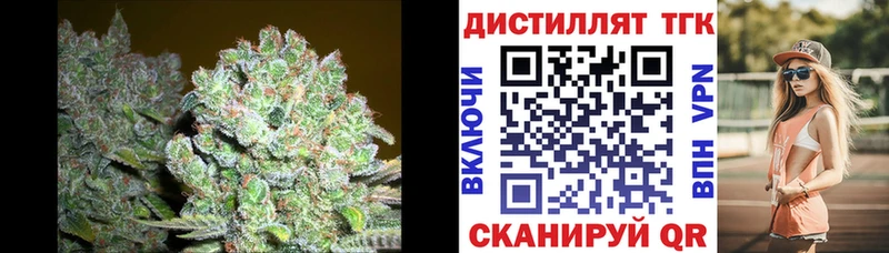 Купить закладки  Сальск  Дистиллят ТГК Wax 