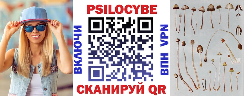 Галлюциногенные грибы Cubensis  Купить  Сальск 